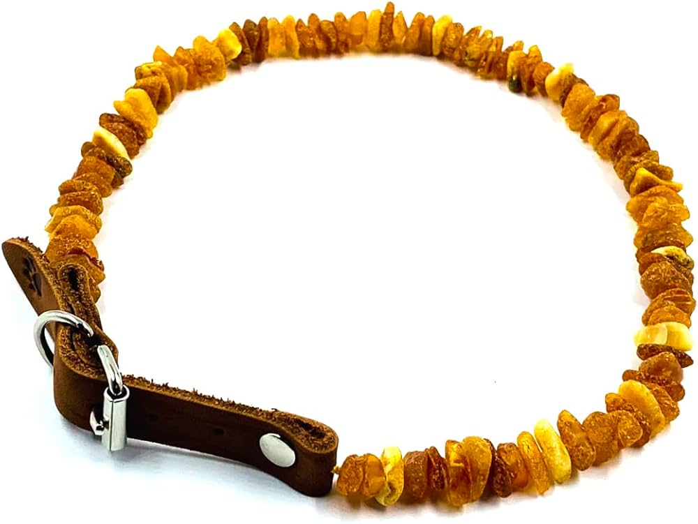 Amber Collar For Pets