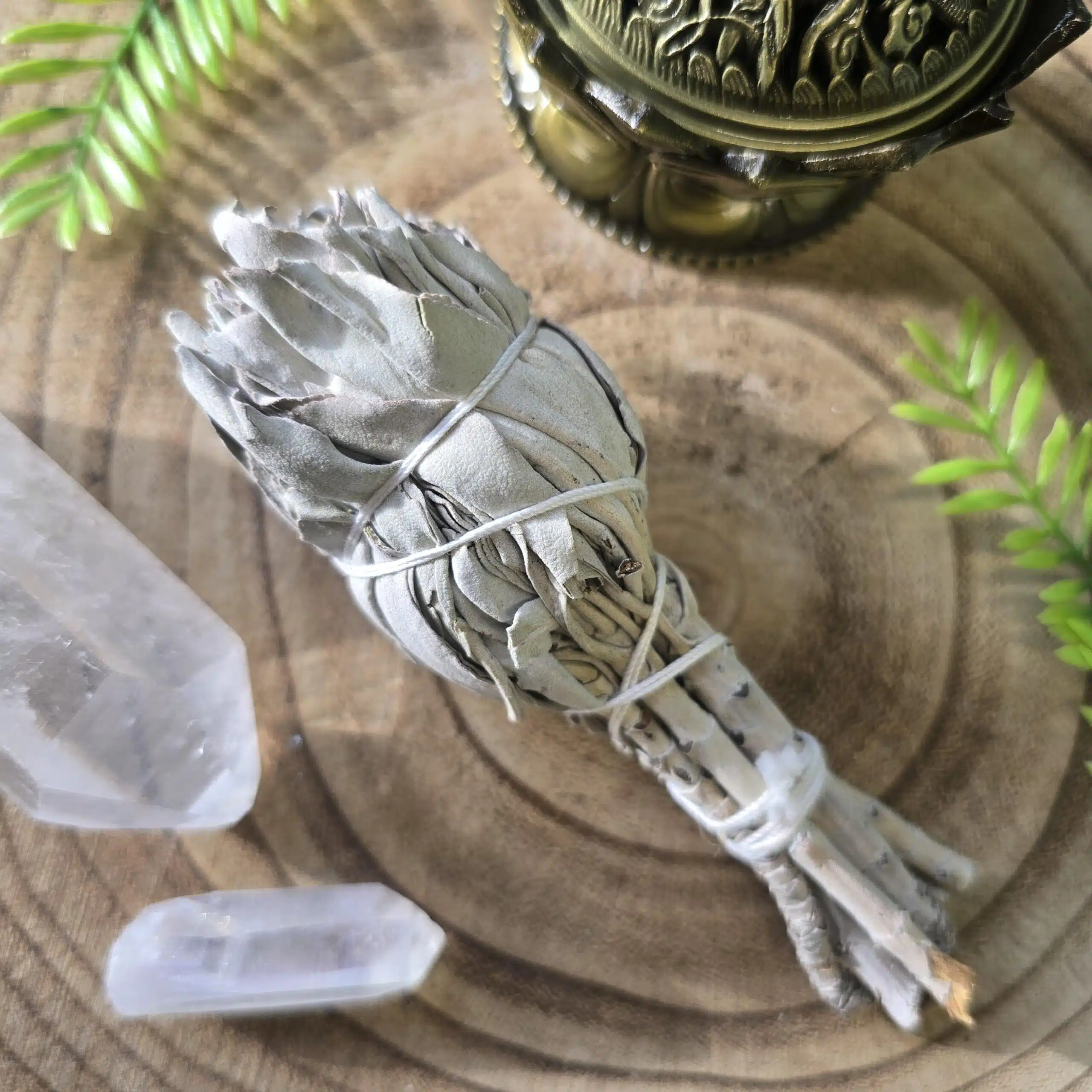 White Sage Smudge Stick - Small