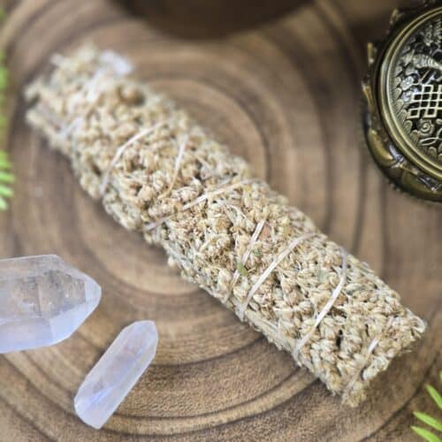 Black Sage/Mugwort