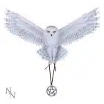 Awaken Your Magic Wall Plaque