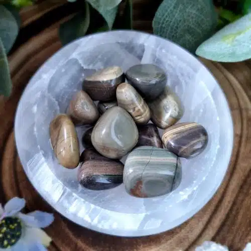 Silver Leaf Jasper Crystal Tumblestone
