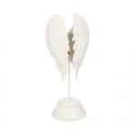 Standing Angel Wings