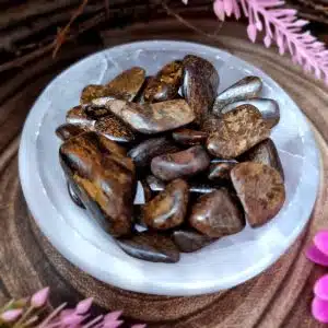 Bronzite Crystal Tumblestone