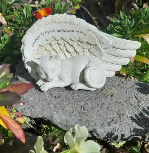 Cat Angel Plaque