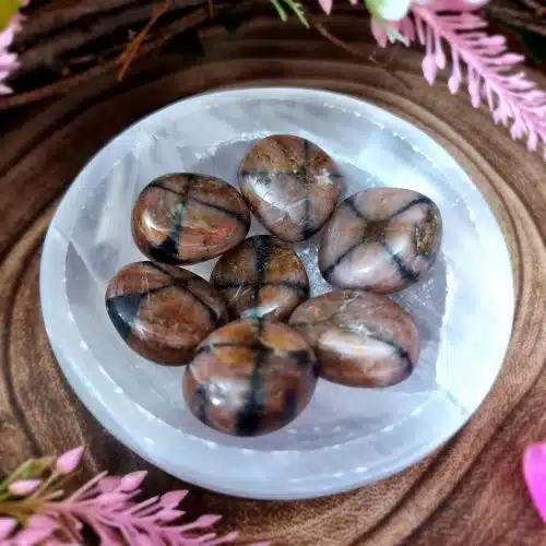 Chiastolite Crystal Tumblestone