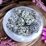Dalmatian Jasper Crystal Tumblestone