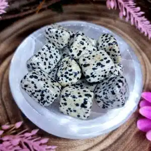 Dalmatian Jasper Crystal Tumblestone
