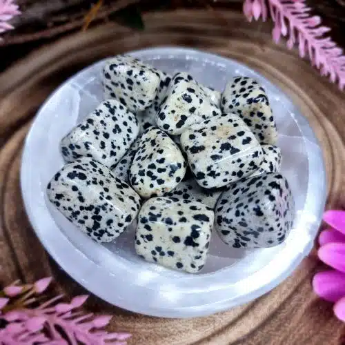 Dalmatian Jasper Crystal Tumblestone