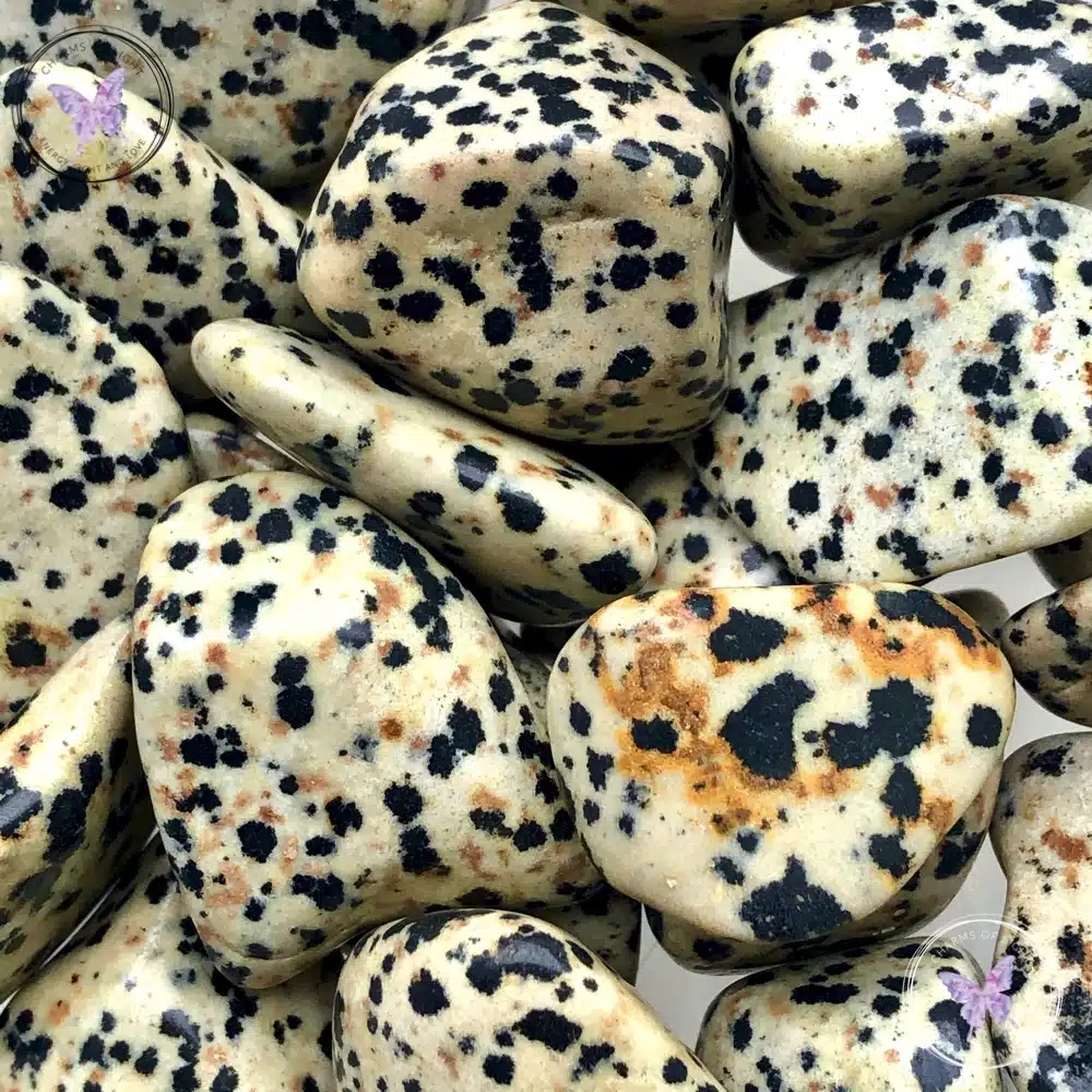 Dalmatian Jasper Crystal Tumblestone3