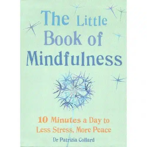 The Little Book of Mindfulness