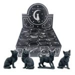 Lucky Black Cat in Gift Bag