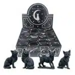 Lucky Black Cat in Gift Bag