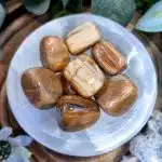 Petrified Wood Crystal Tumblestone