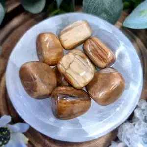 Petrified Wood Crystal Tumblestone