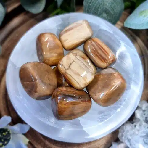 Petrified Wood Crystal Tumblestone