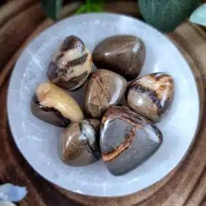 Septarian Crystal Tumblestone