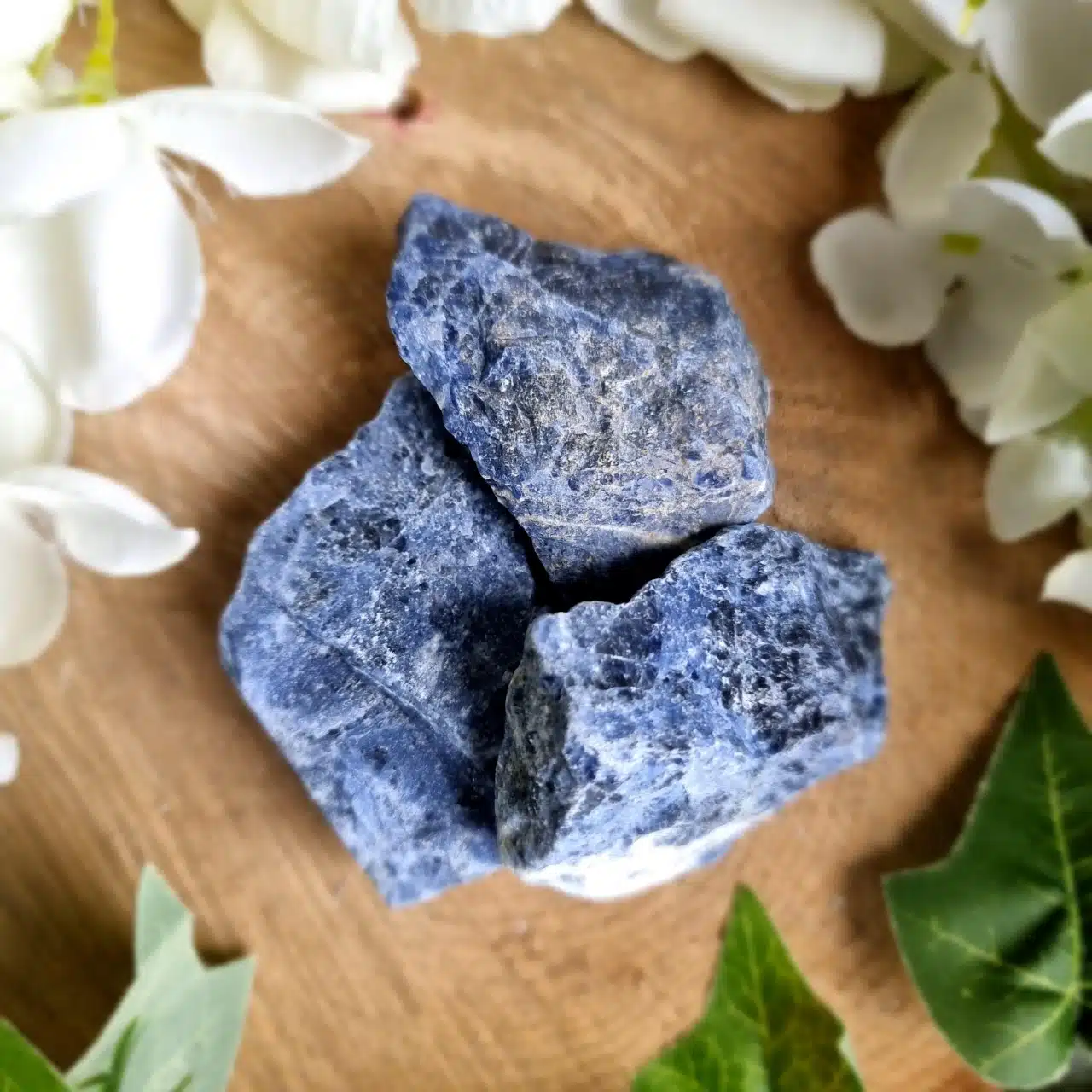 Rough Sodalite Rough Sodalite