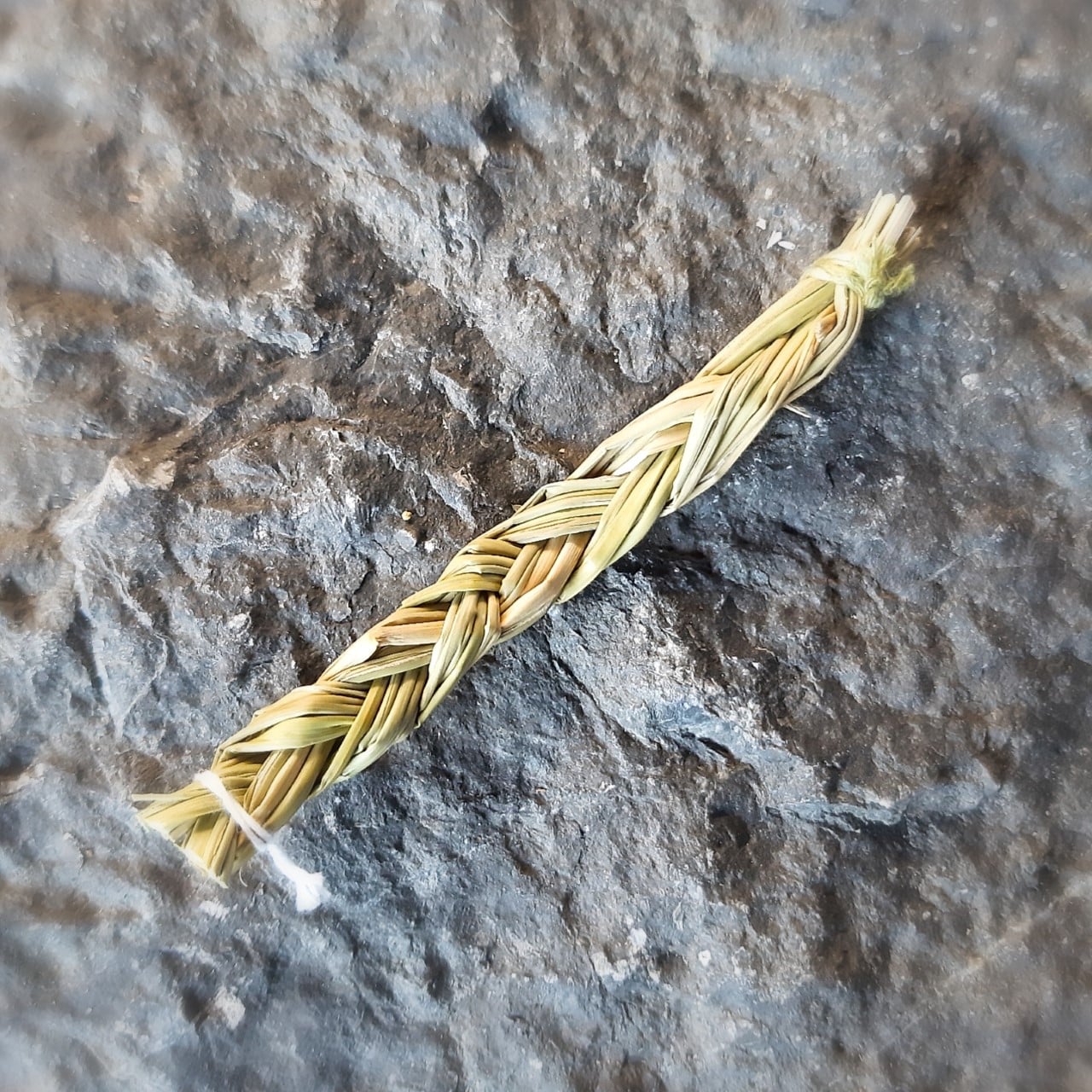 Sweet Grass Braid Purple Lotus