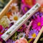 Stamford - White Sage Incense