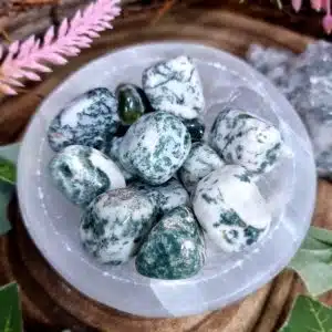 Tree Agate (Dendritic Agate) Crystal Tumblestone
