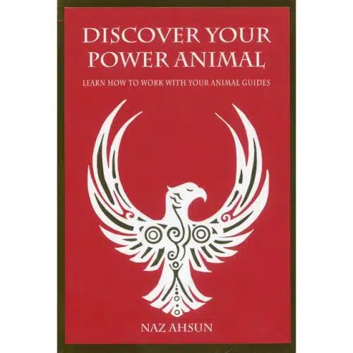 Discover Your Power Animal Book