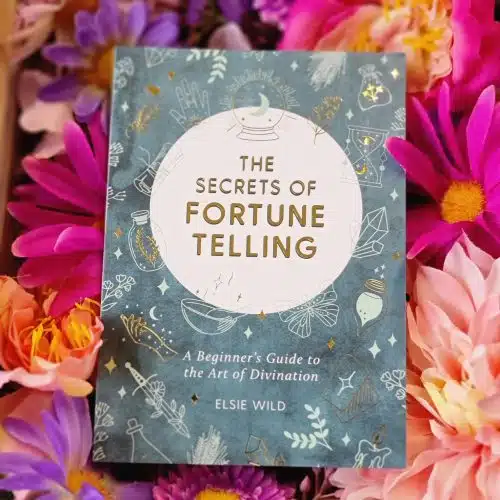 The Secrets of Fortune Telling Book
