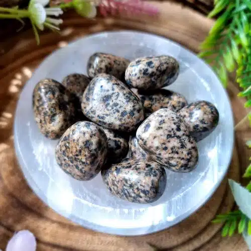 Sesame Jasper Crystal Tumblestone