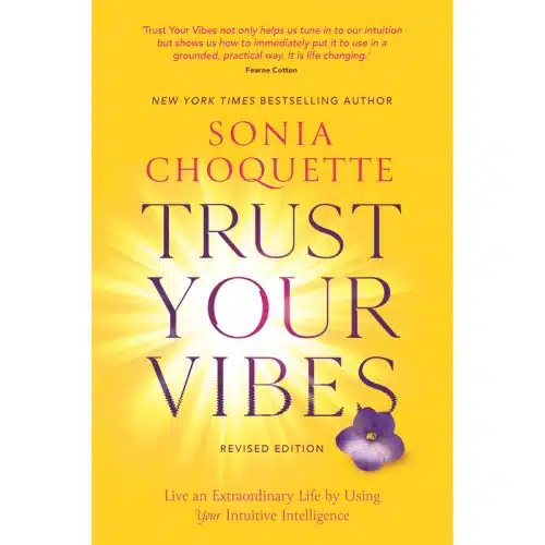 Trust Your Vibes Book