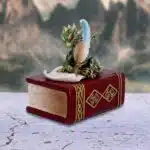The Scribe Dragon Box