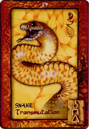Animal Dreaming Oracle Deck