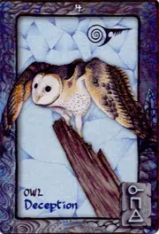Animal Dreaming Oracle Deck