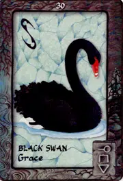 Animal Dreaming Oracle Deck