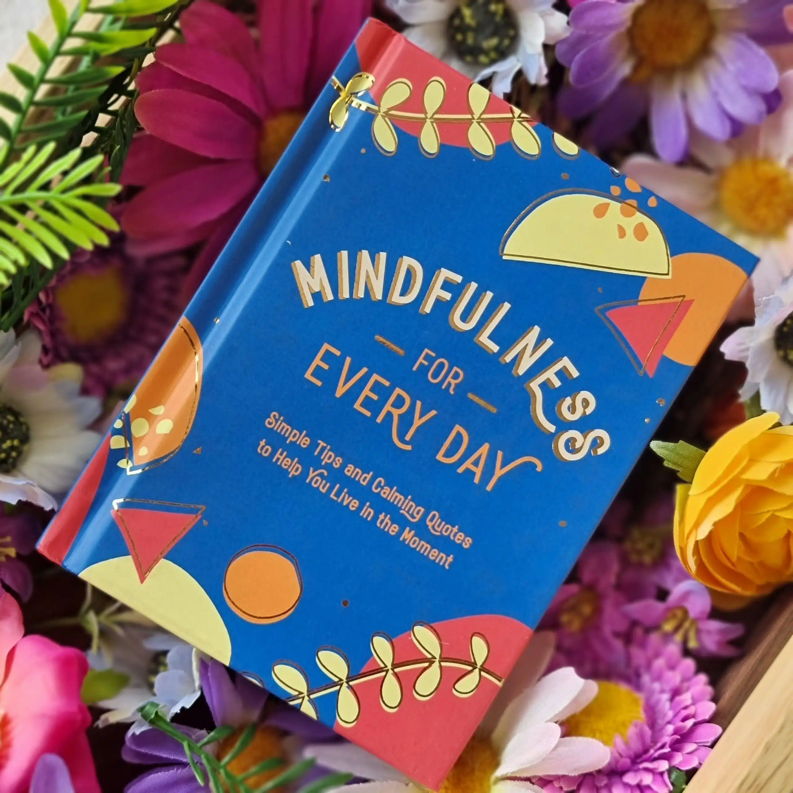 Mindfulness For Everyday Book