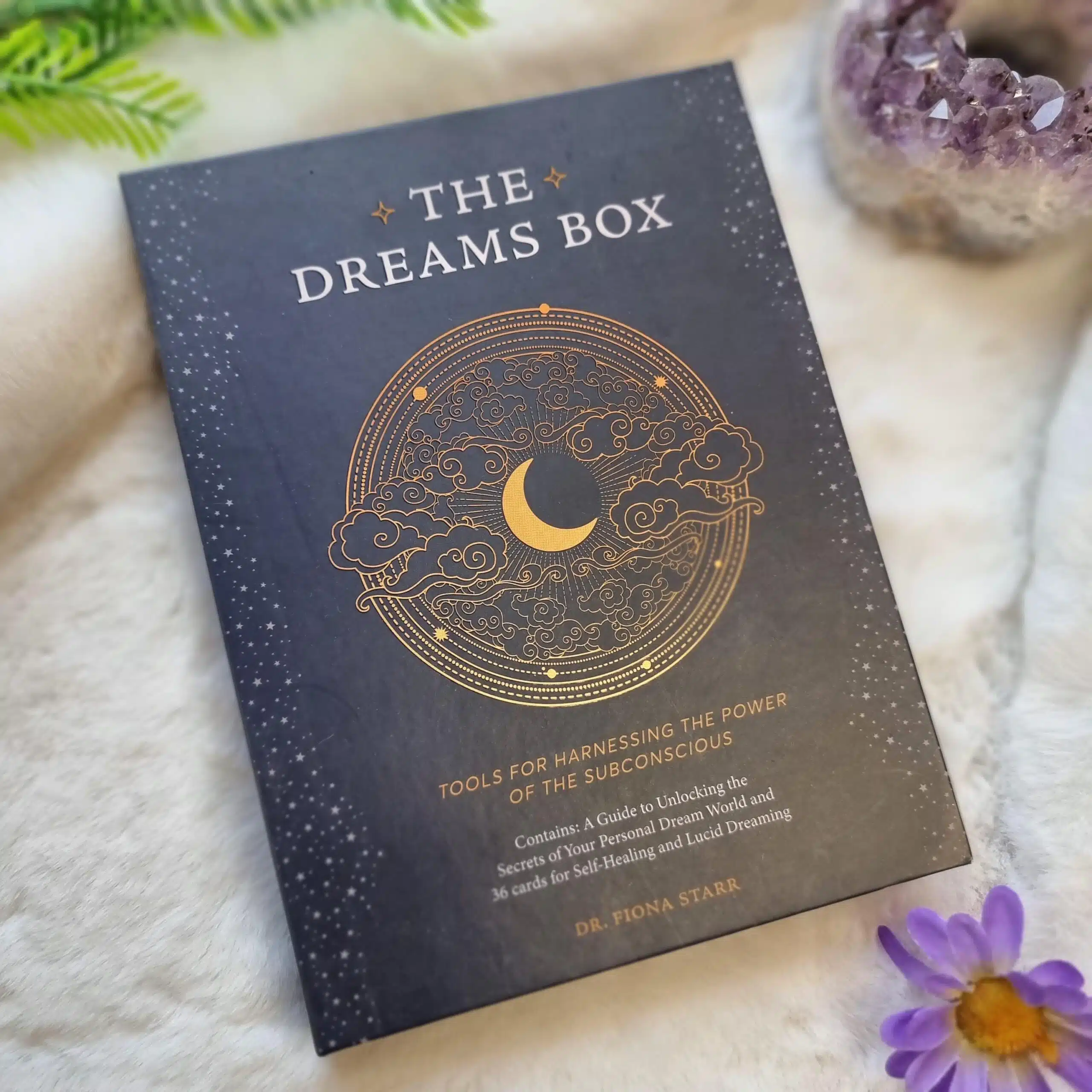 The Dreams Box Card Set
