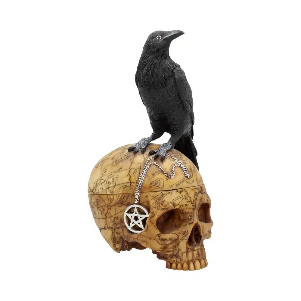 Salem's Familiar Raven Box