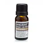 Fennel Essential Oil