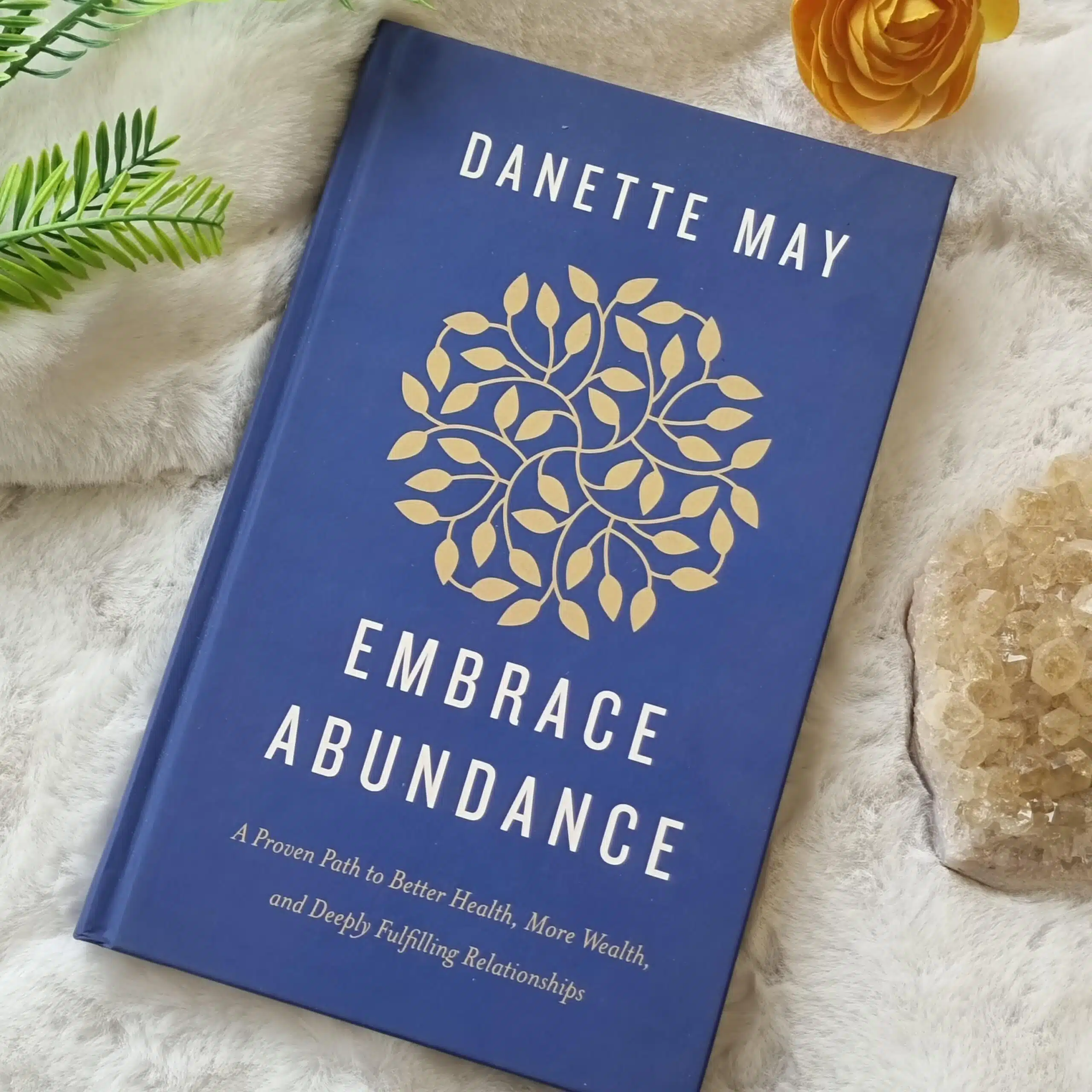 Embrace Abundance Book