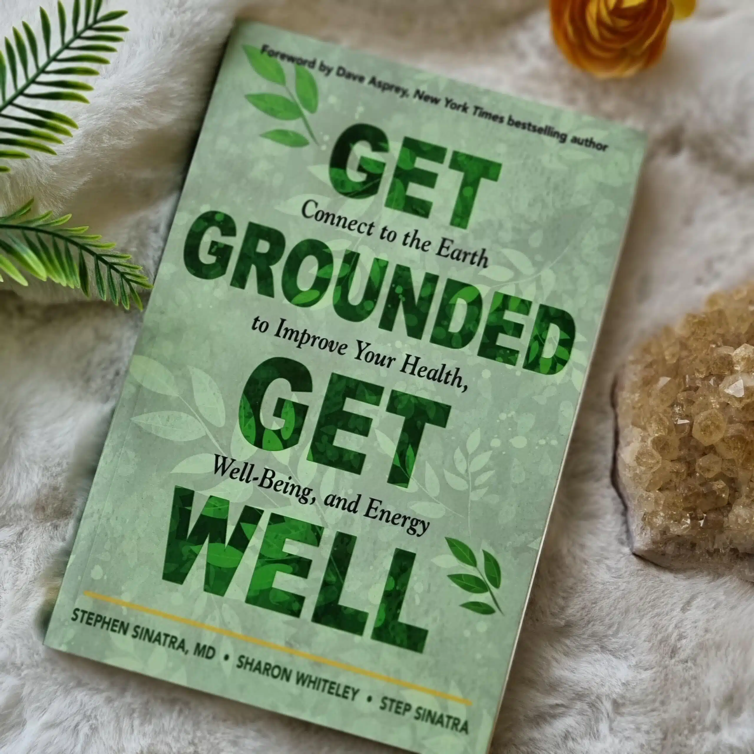 Get Grounded, Get Well Book