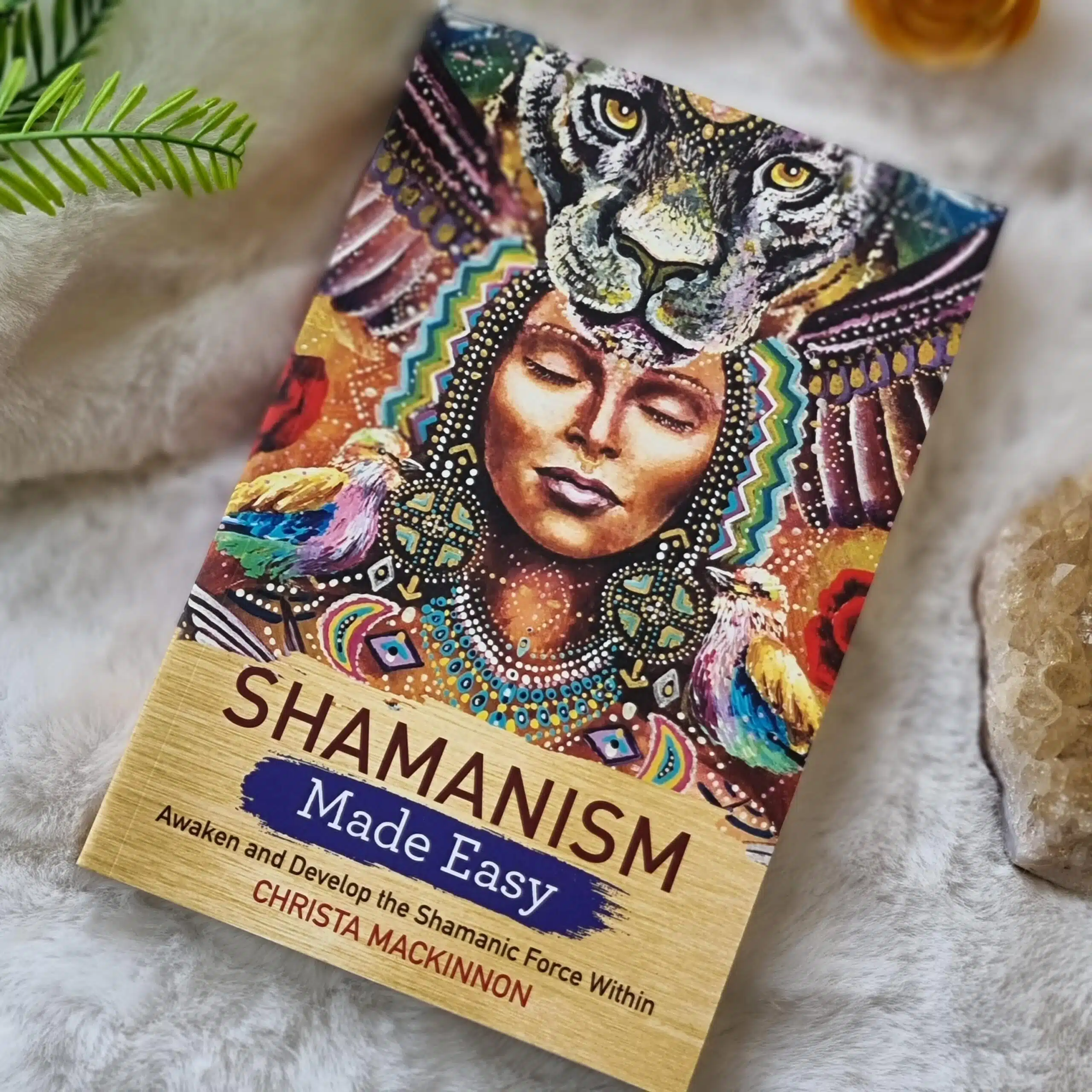 Shamanism Made Easy Book