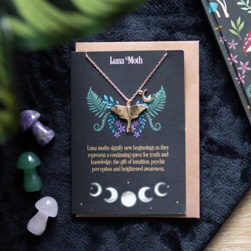 Luna Moth Necklace & Card Set