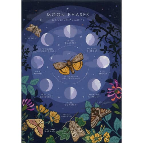 Moon Phases Greeting Card