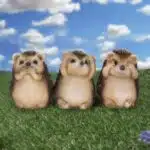 Three Wise Hedgehogs