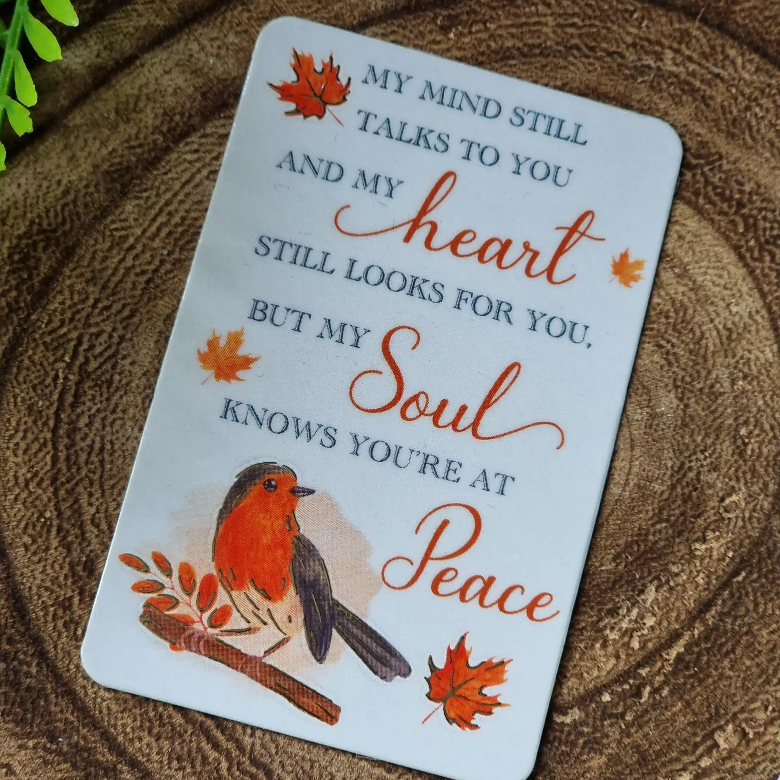 Robin Prayer Card