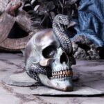 Serpentine Fate Gothic Snake Skull