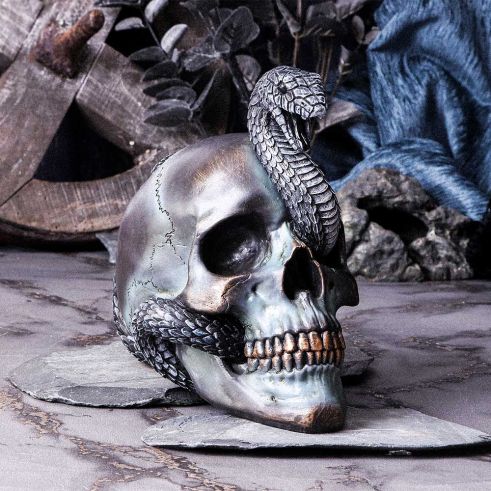 Serpentine Fate Gothic Snake Skull