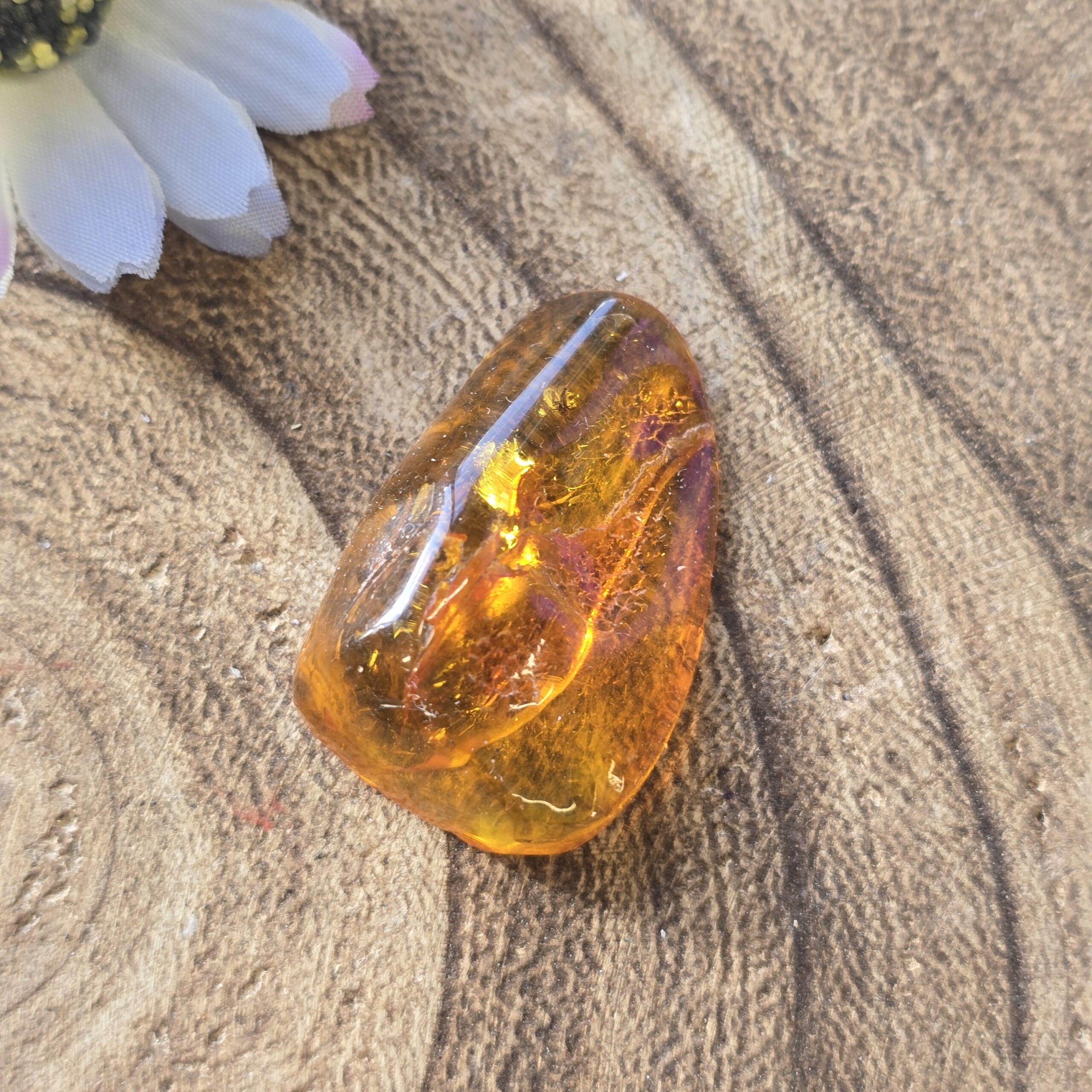 Amber with Insect Specimen