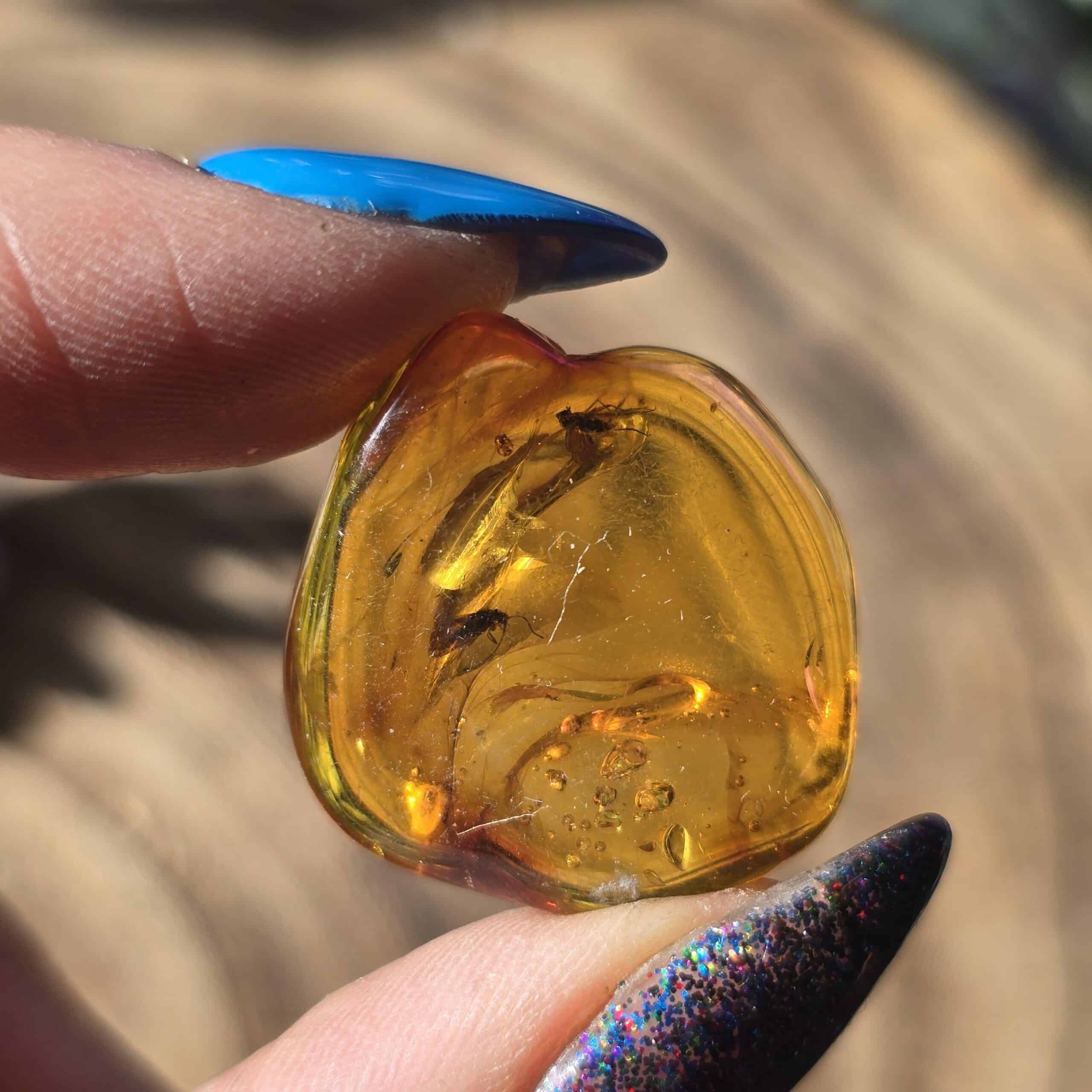 Amber with Insect Specimen Amber with Insect Specimen