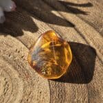 Amber with Insect Specimen