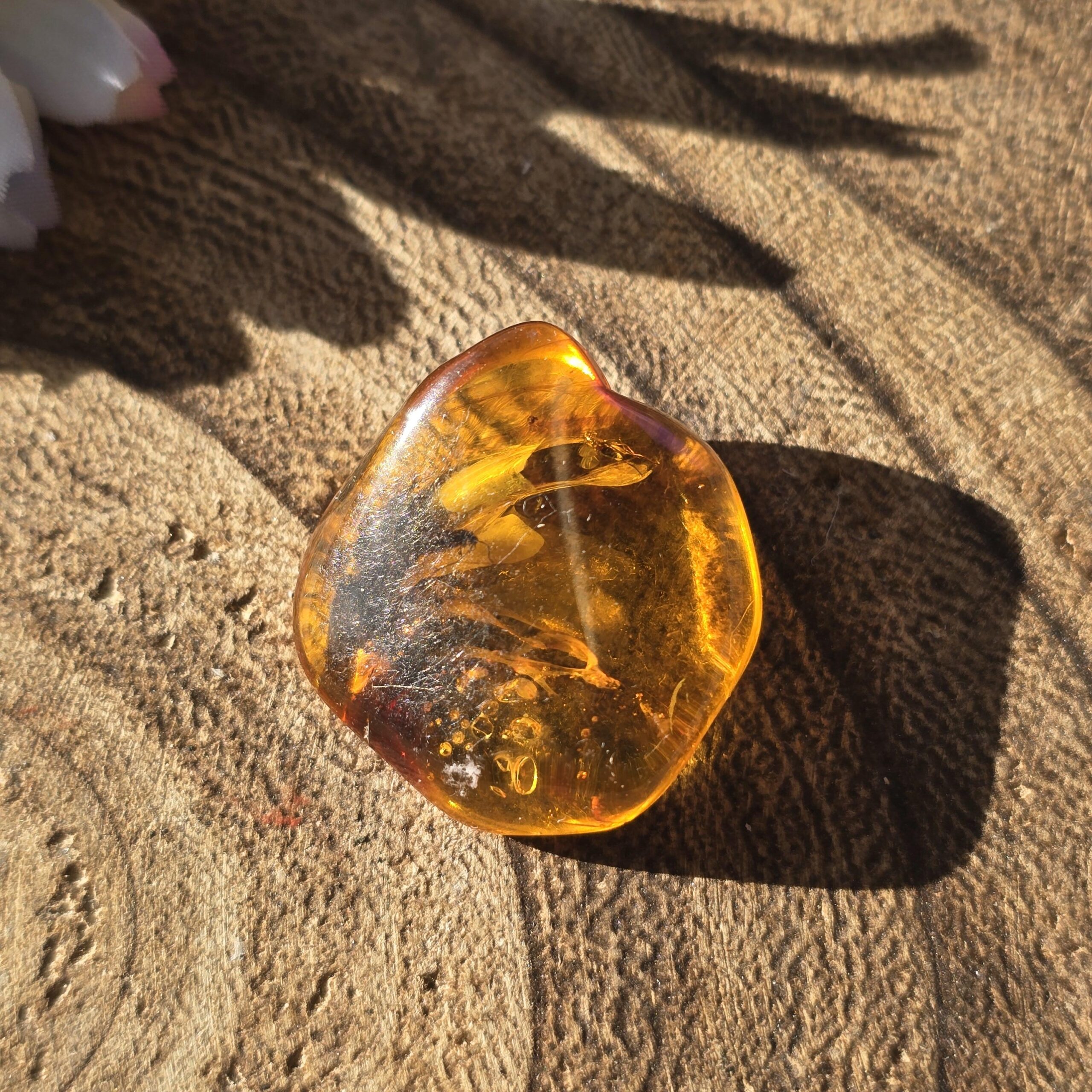 Amber with Insect Specimen