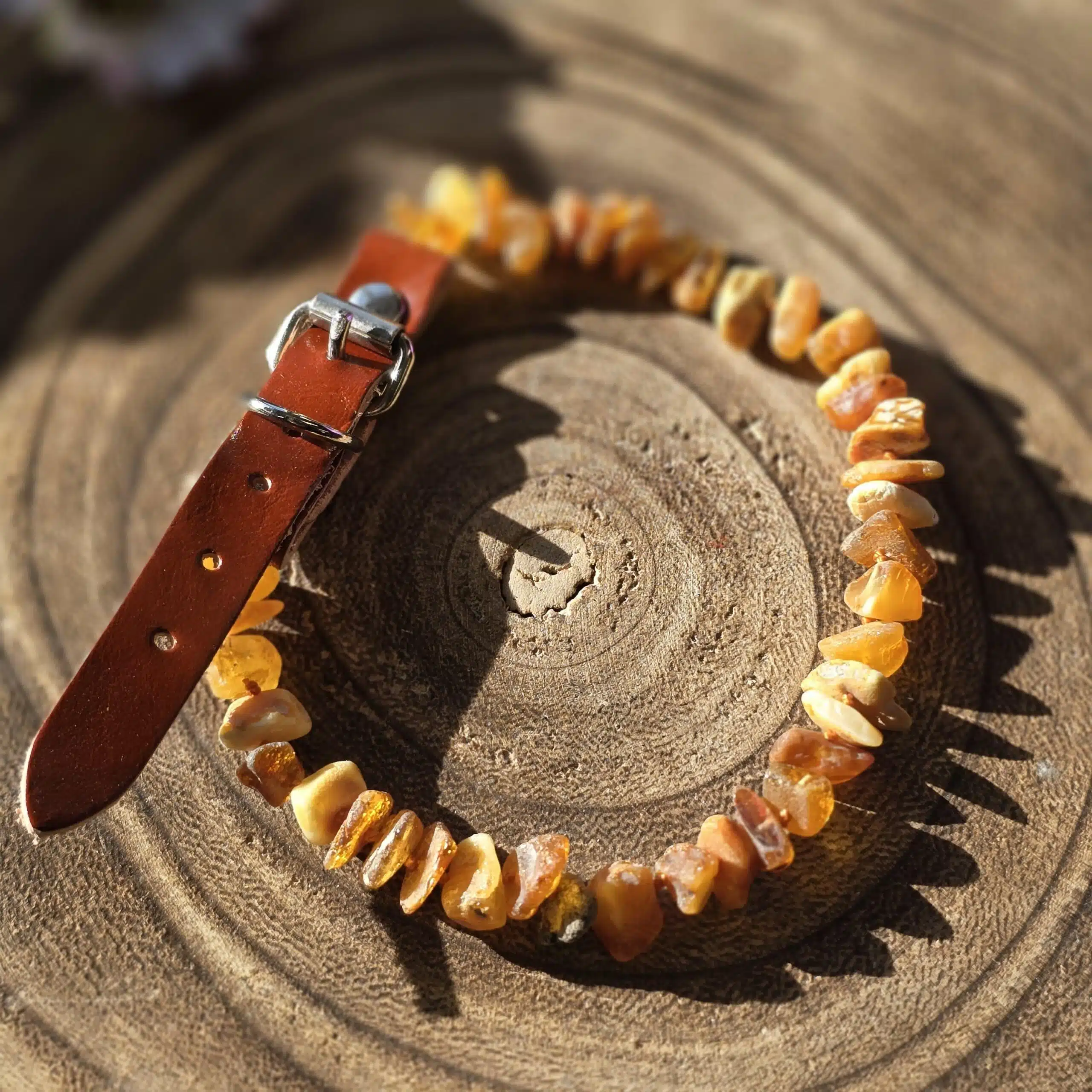 Small Amber Collar For Pets